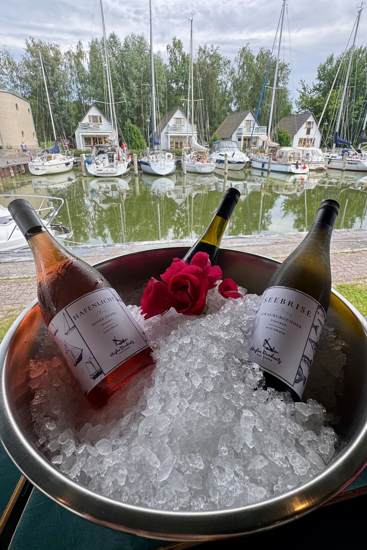 Hauswein Hafenlicht