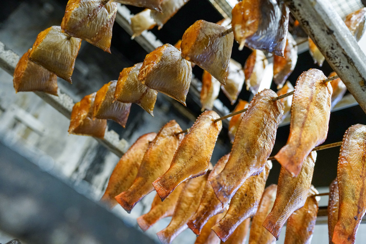 Hochwertig Geräucherten Fischprodukte